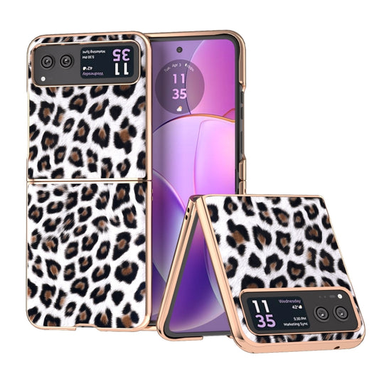 For Motorola Razr 40 Nano Plating Leopard Print Phone Case(Silver) - Motorola Cases by buy2fix | Online Shopping UK | buy2fix