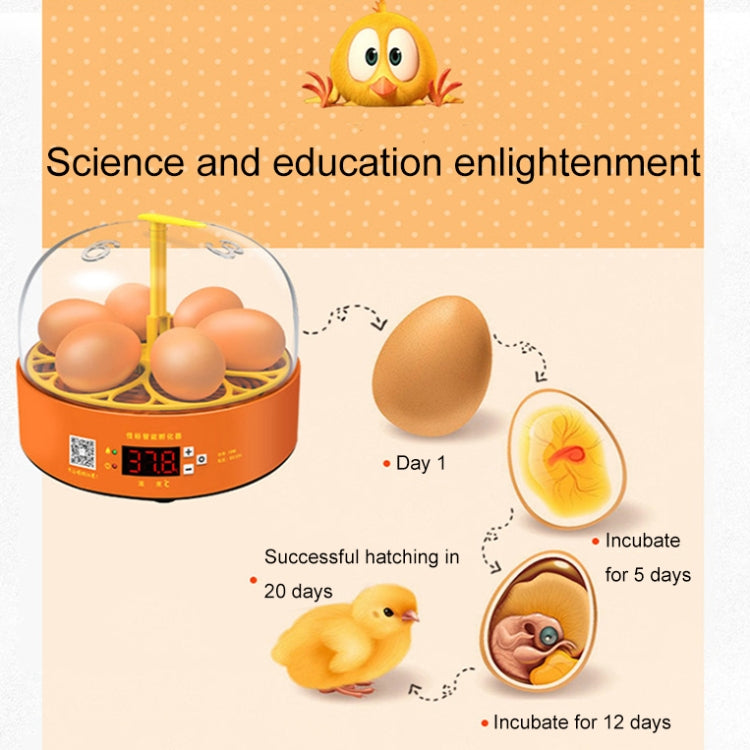 6-Eggs Small Household Experimental Children Smart Chicken Incubators, Spec: Dual-electric Automatic US Plug - Incubators by buy2fix | Online Shopping UK | buy2fix