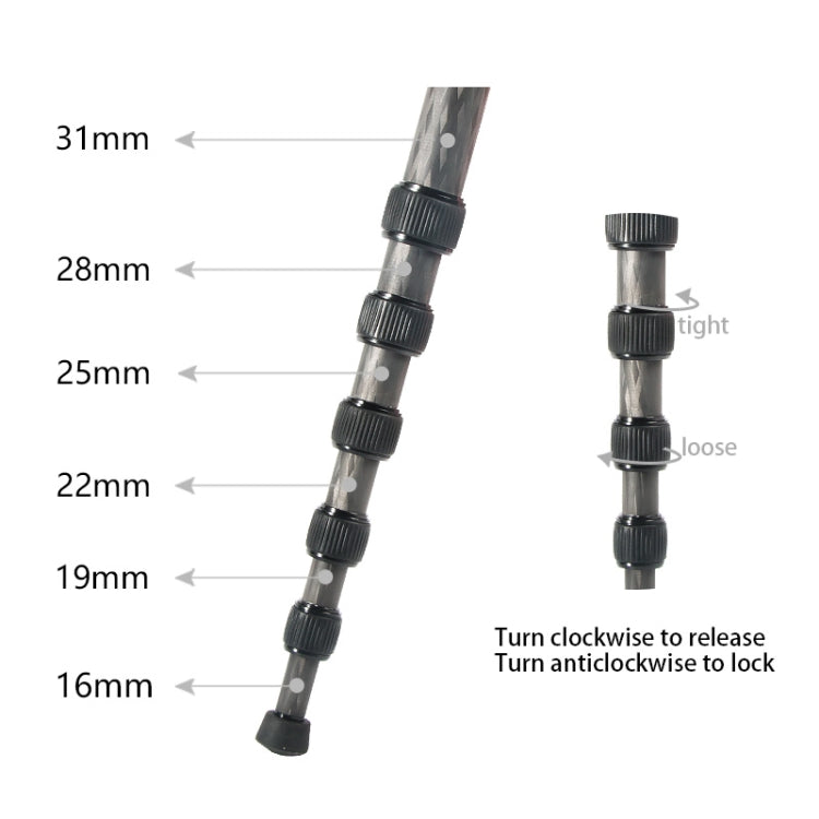 BEXIN P306C Portable Travel Outdoor DSLR Camera Carbon Fiber Monopod Holder (Black) - Camera Accessories by BEXIN | Online Shopping UK | buy2fix