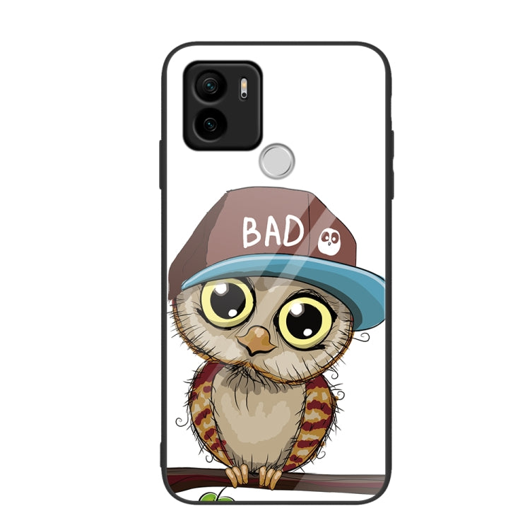 For Xiaomi Redmi A1+ Colorful Painted Glass Phone Case(Owl) - Xiaomi Cases by buy2fix | Online Shopping UK | buy2fix