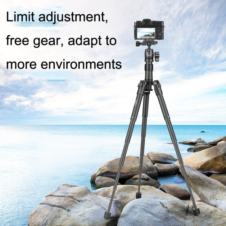 QingZhuangShiDai Q3110 Aluminum Mini Portable Desktop Action Camera Tripod - Camera Accessories by QingZhuangShiDai | Online Shopping UK | buy2fix