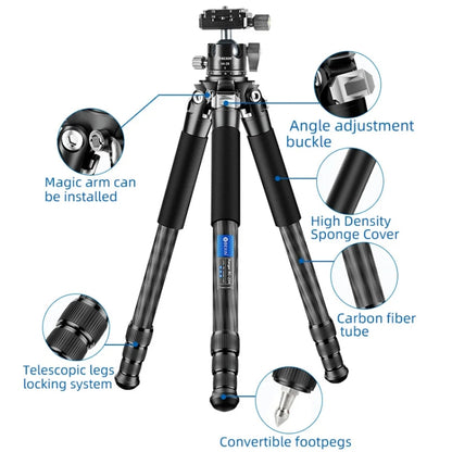 BEXIN RC254+LH-28 Carbon Fiber Portable Folding Tripod SLR Camera Low Gravity Center Gimbal Photography Bracket - Tripods by BEXIN | Online Shopping UK | buy2fix